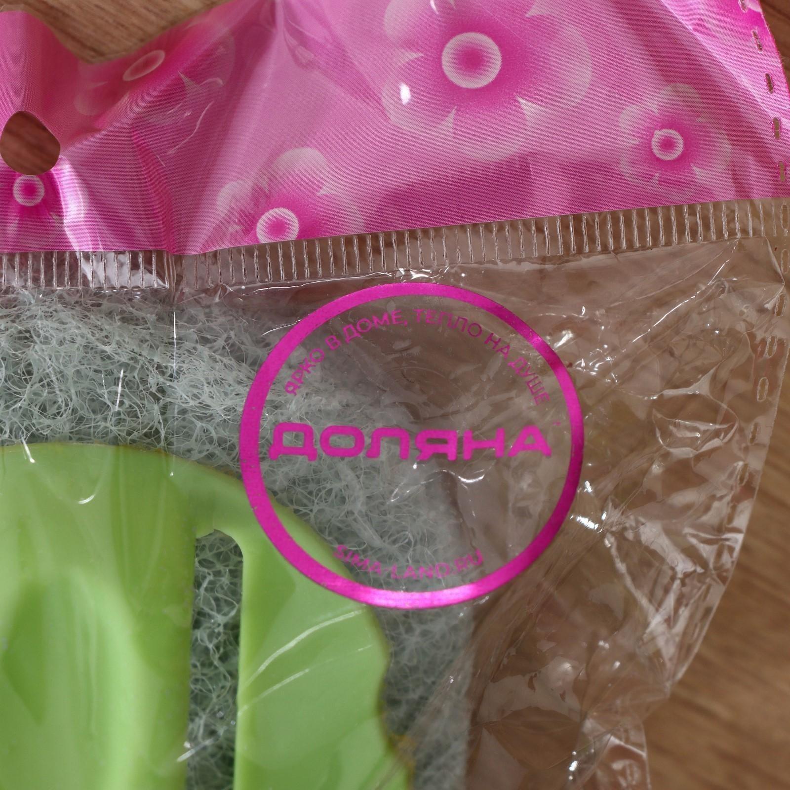 Щётка абразивная с ручкой Доляна, 15×8 см, цвет МИКС