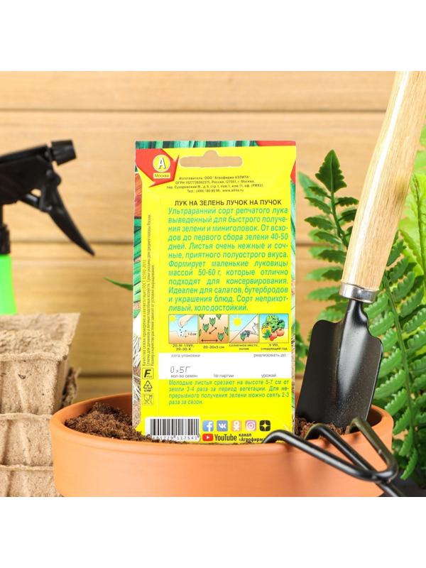 Семена Лук на зелень 