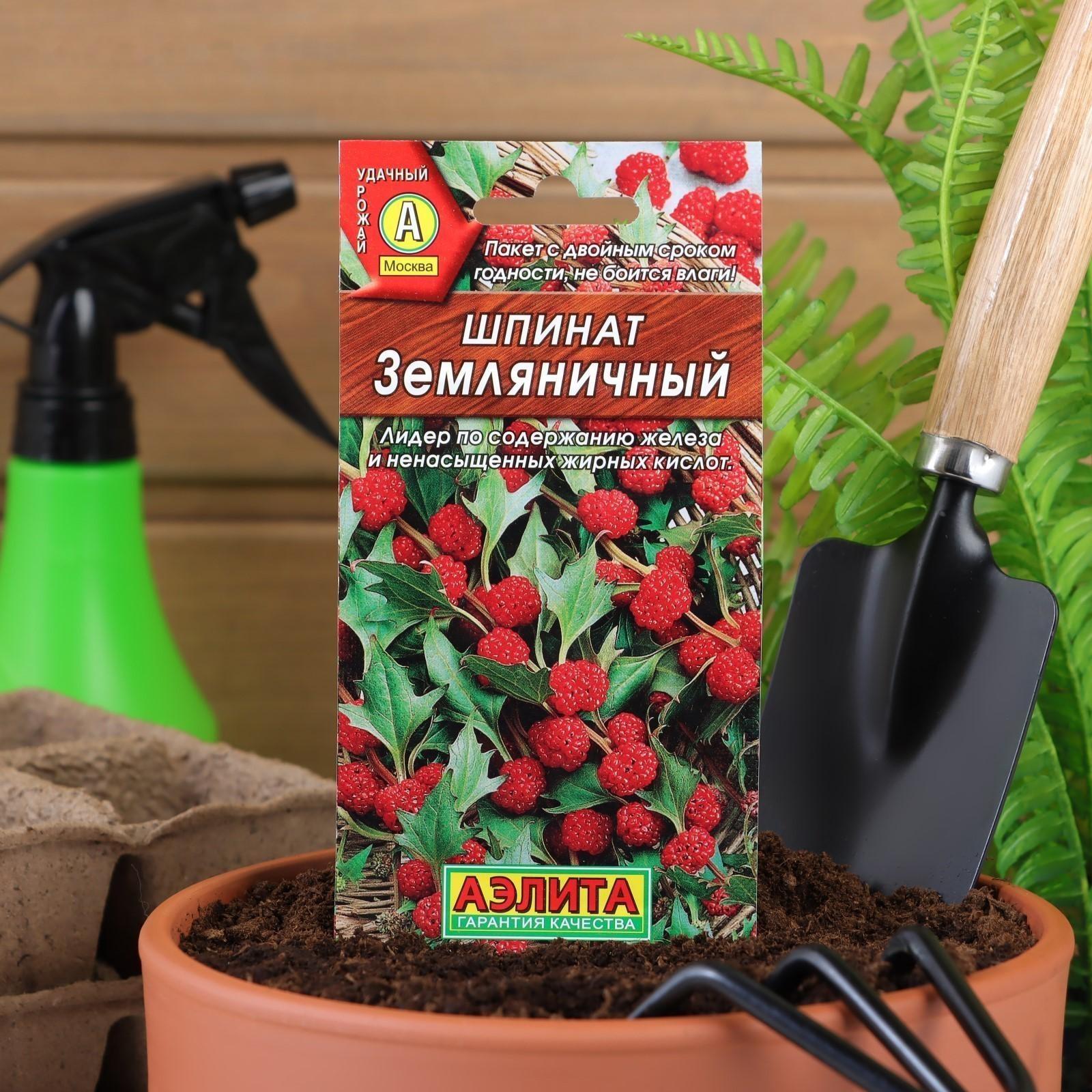 Семена Шпинат 