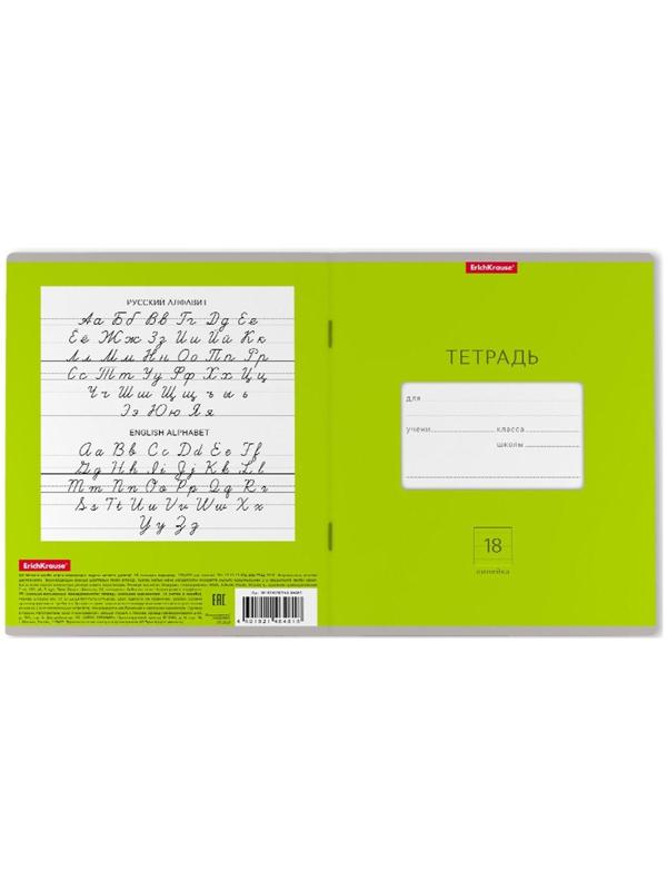 Тетрадь 18 листов в линейку ErichKrause Bright 