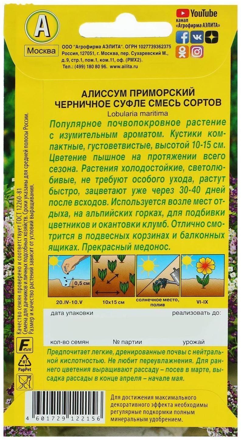 Семена цветов Алиссум 