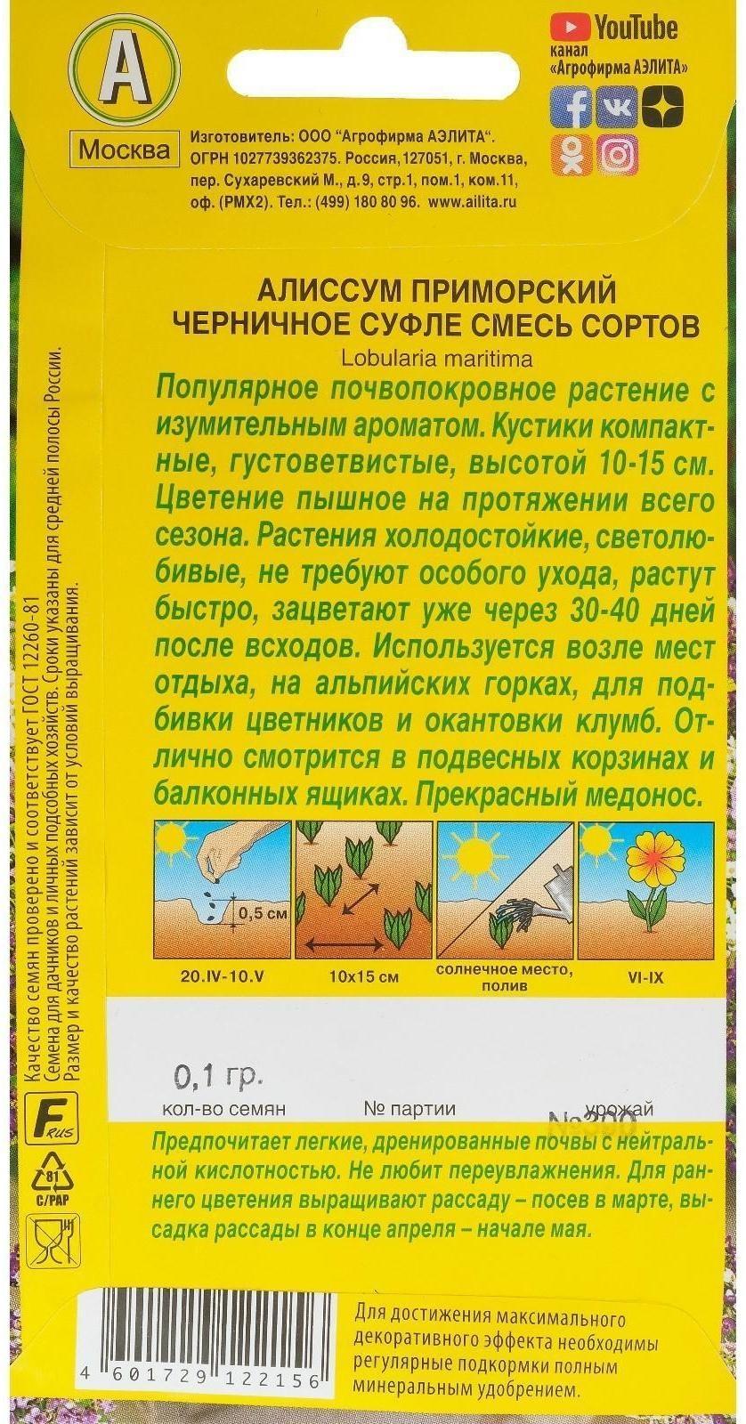 Семена цветов Алиссум 