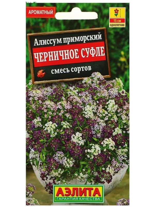 Семена цветов Алиссум 