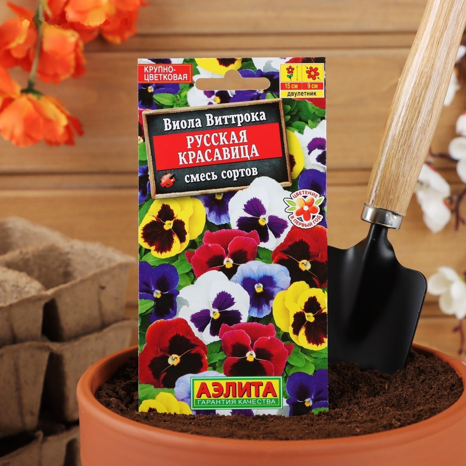 Семена цветов Виола 