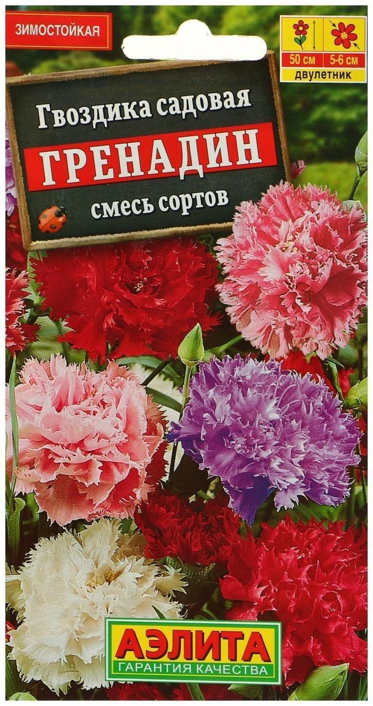 Семена цветов Гвоздика 