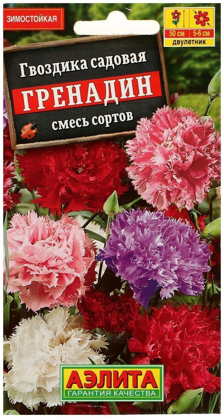 Семена цветов Гвоздика 