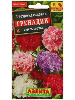 Семена цветов Гвоздика 