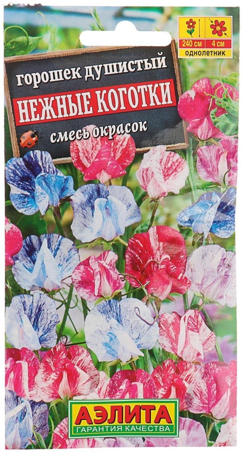 Семена цветов Горошек душистый 