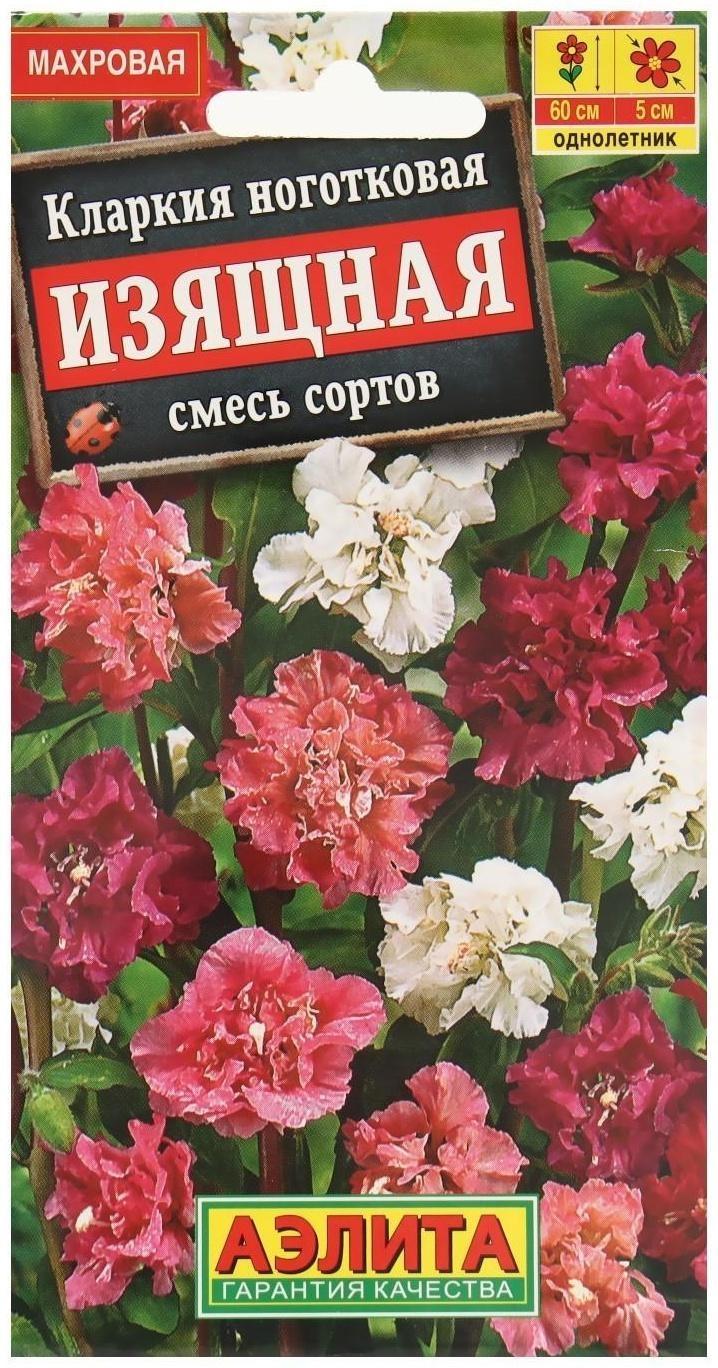 Семена цветов Кларкия изящная, смесь окрасок, О, 0,3 г