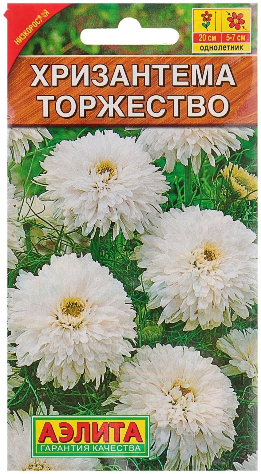 Семена цветов Хризантема букетная 