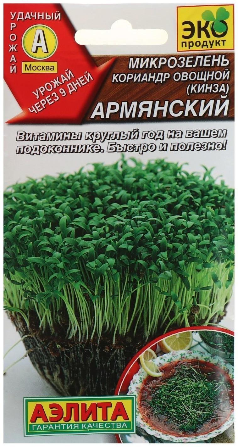 Семена  Микрозелень Кинза, 5 г