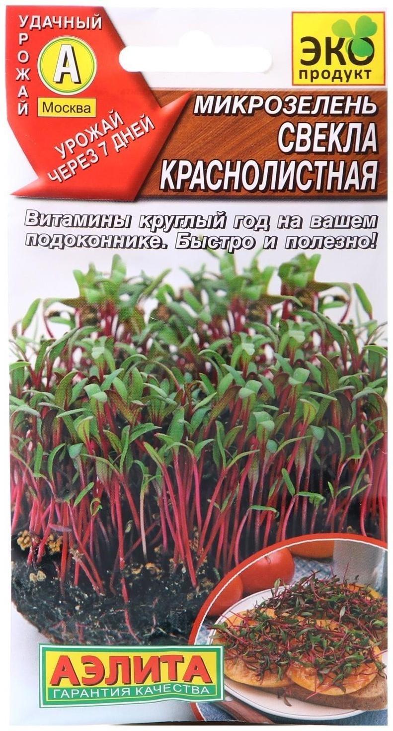 Семена Микрозелень Свекла, 5 г