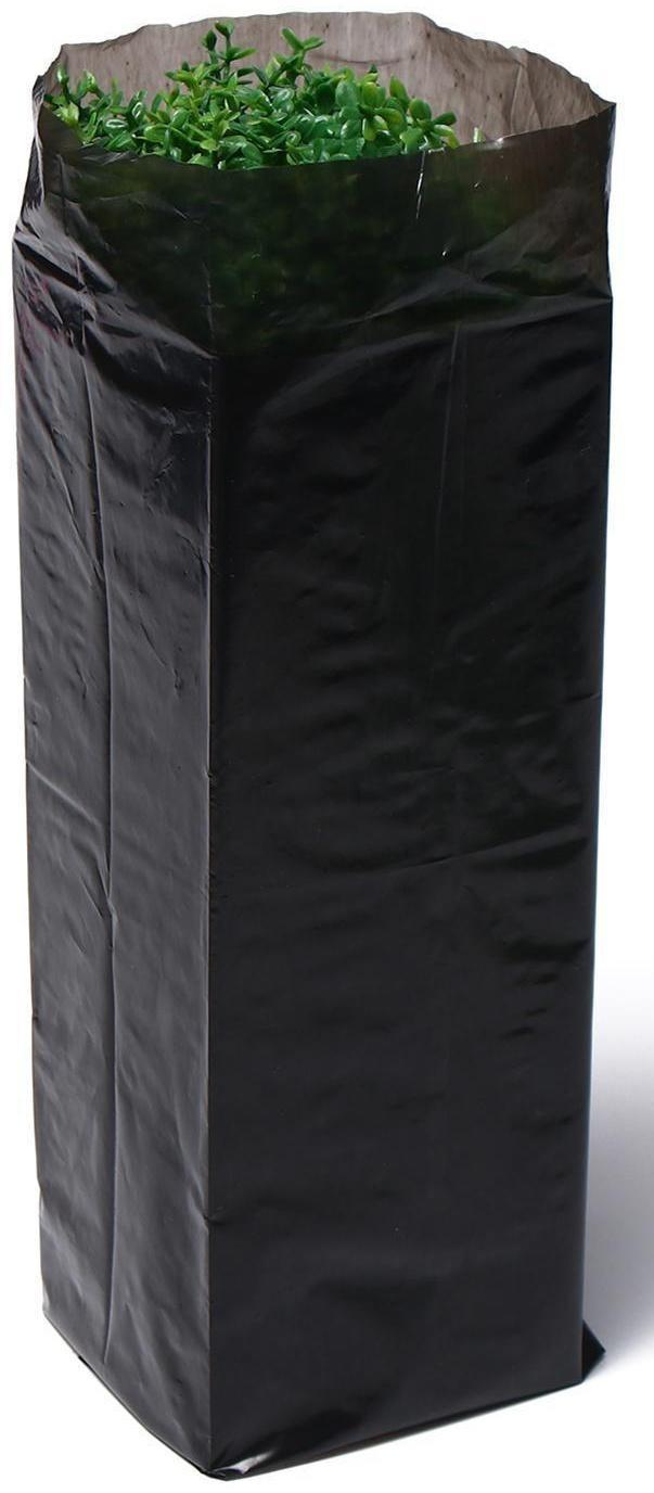 Пакет для рассады, 1.6 л, 8 × 30 см, полиэтилен толщиной 50 мкм, с перфорацией, чёрный, Greengo