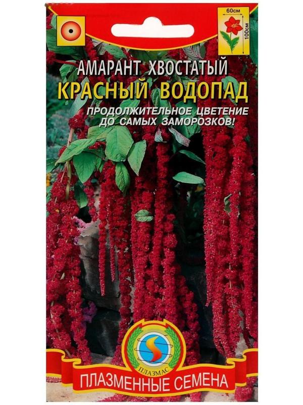 Семена цветов Амарант хвостатый 