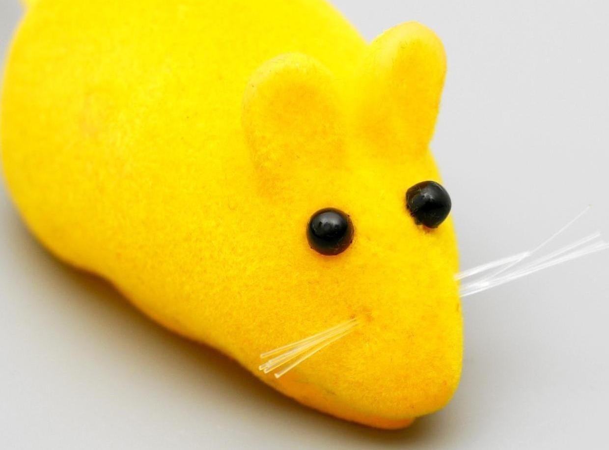 Набор игрушек для кошек: мышь 6 см и 2 шарика, микс цветов