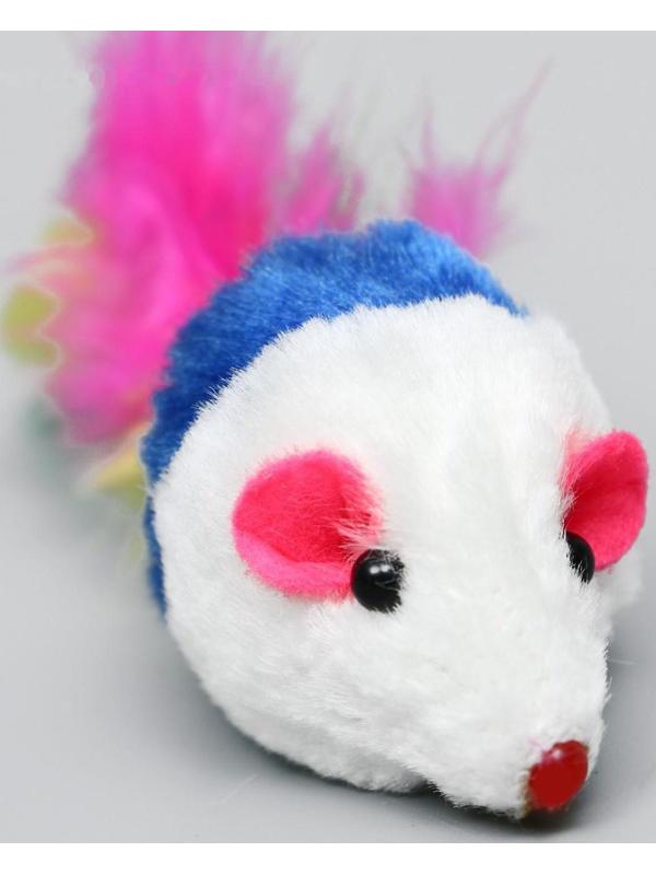 Набор игрушек для кошек: мышь 5 см и игрушка с бубенчиком «Амфитеатр», 6,8 х 4 см, микс цветов