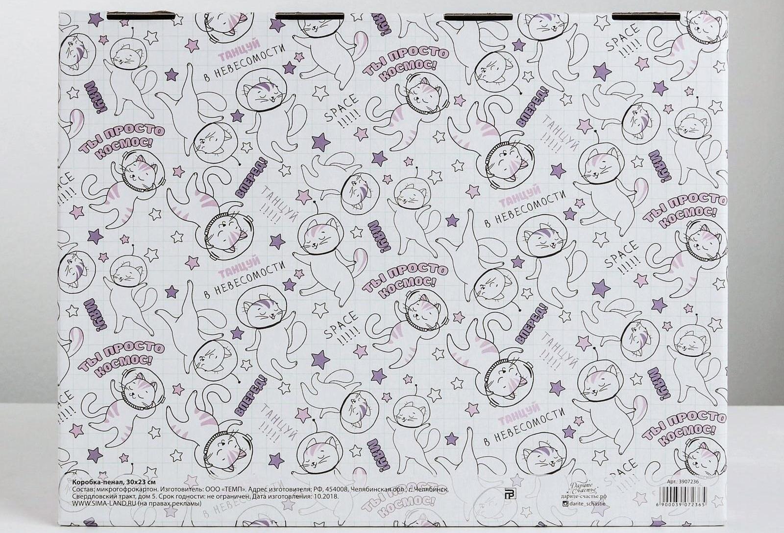 Коробка‒пенал «Ты просто космос», 30 × 23 × 12 см