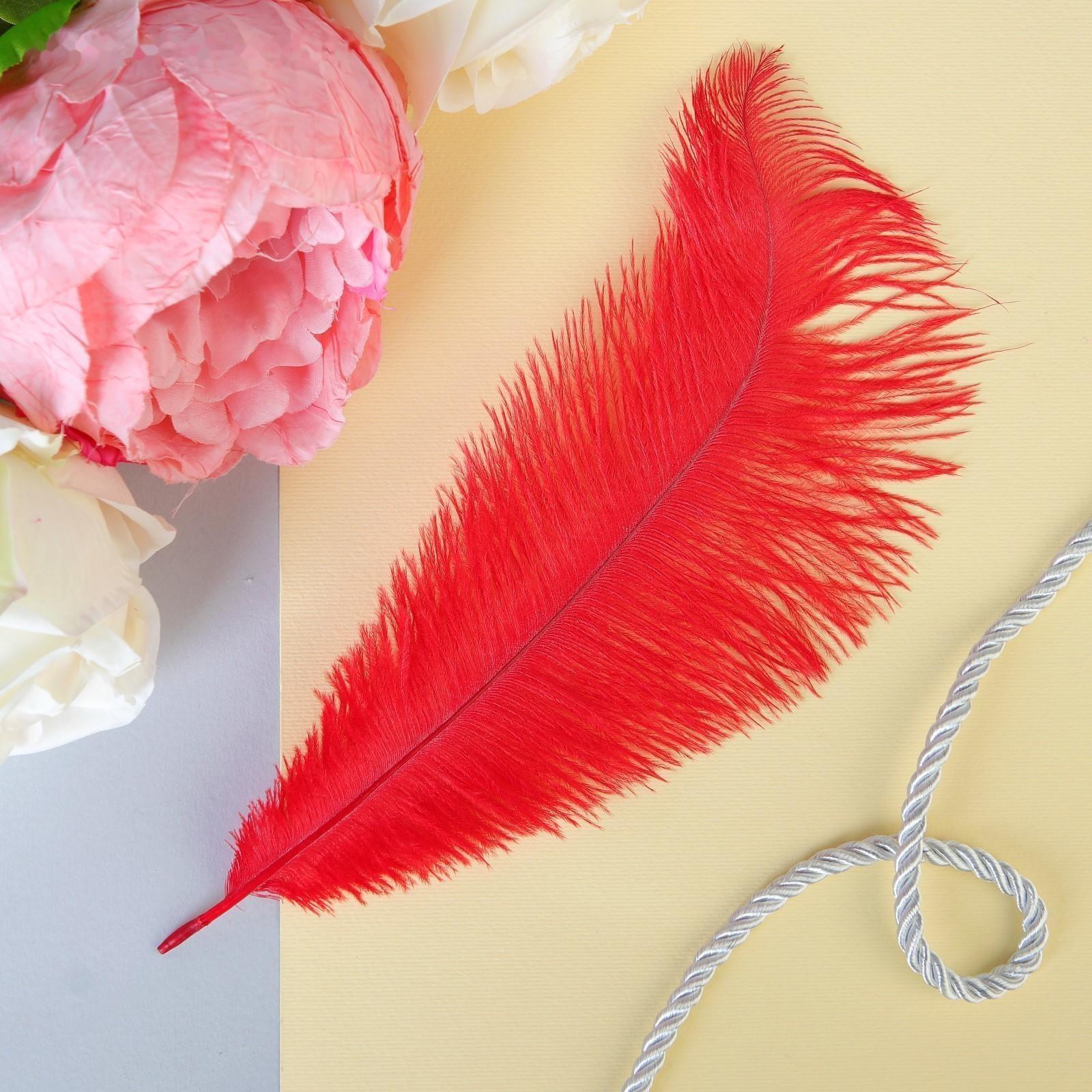 Перо для декора, размер: 24 см, цвет красный