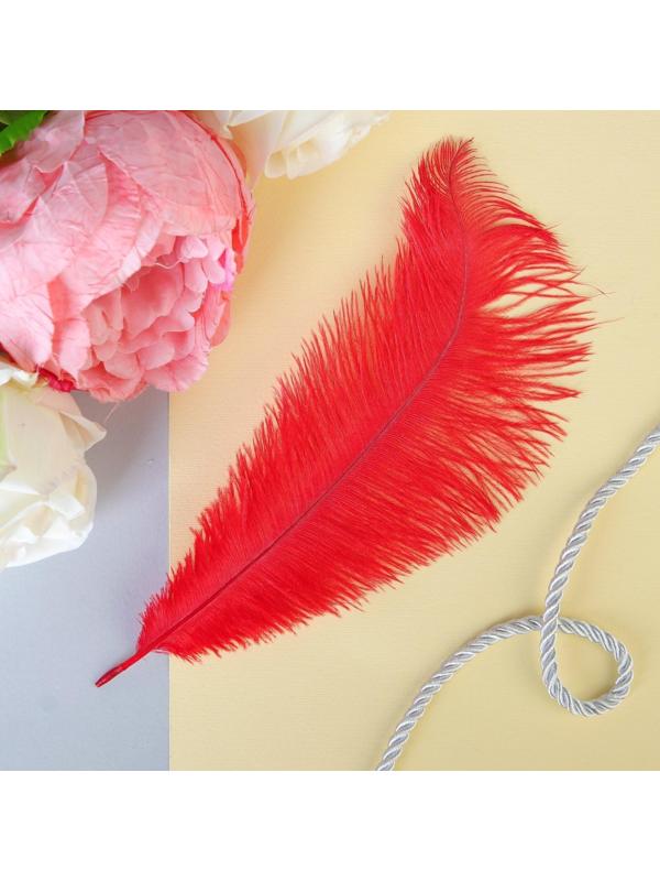 Перо для декора, размер: 24 см, цвет красный
