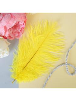 Перо для декора, размер: 24 см, цвет жёлтый