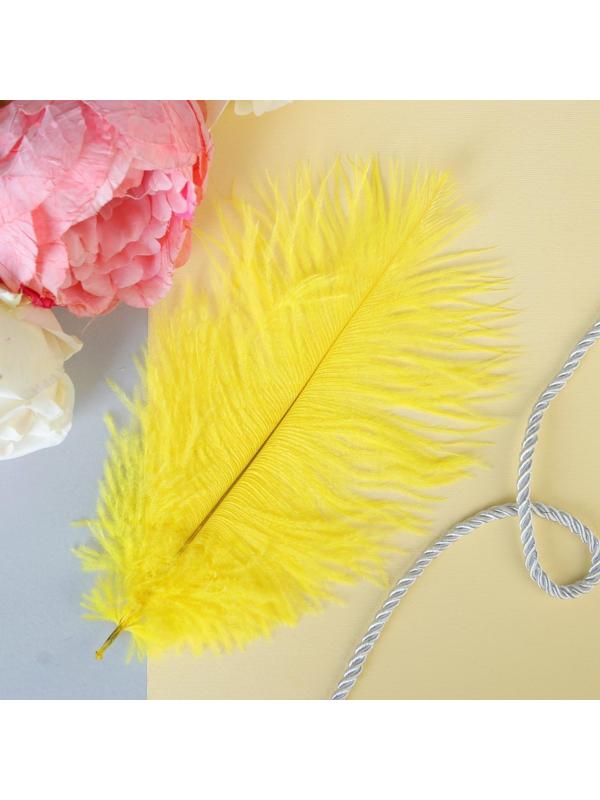 Перо для декора, размер: 24 см, цвет жёлтый