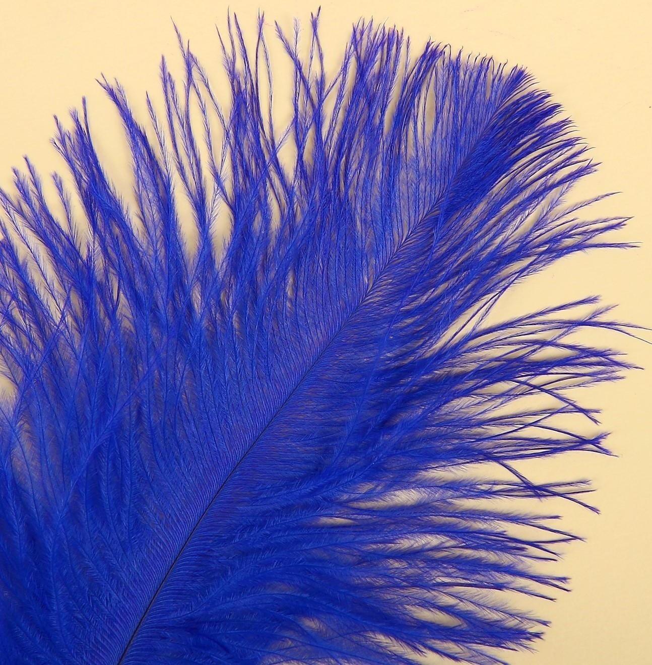 Перо для декора, размер:20-24 см, цвет синий