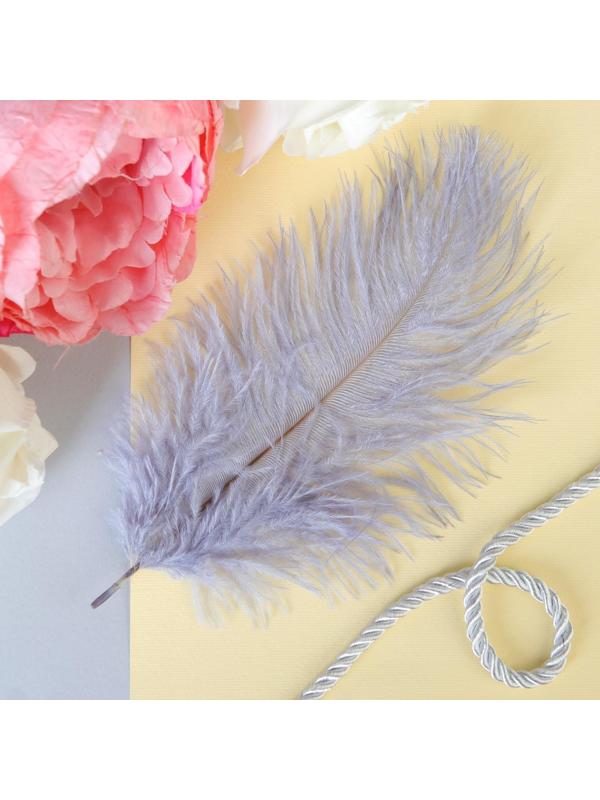Перо для декора, размер: 24 см, цвет серый
