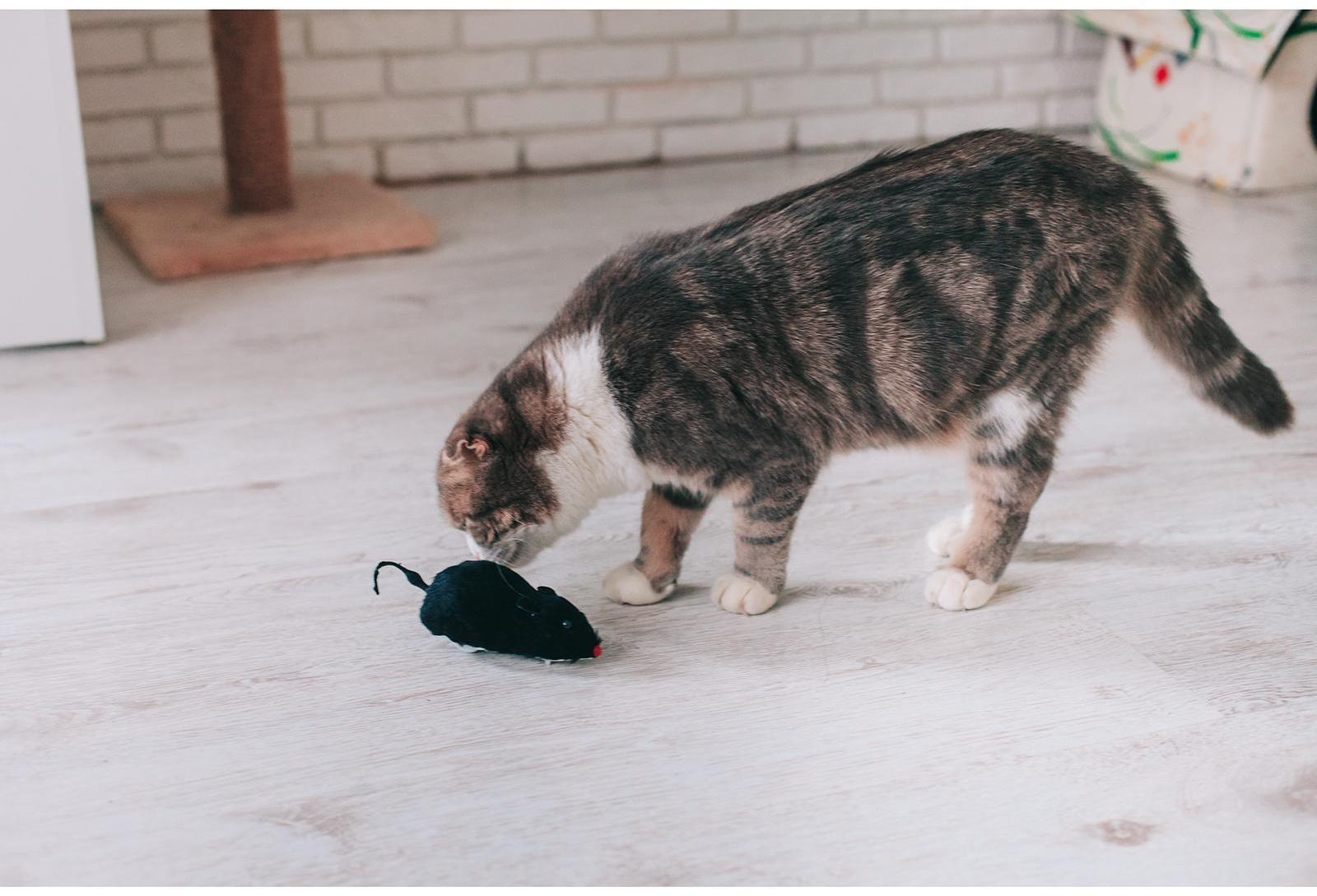 Мышь заводная меховая, 12 см, чёрная