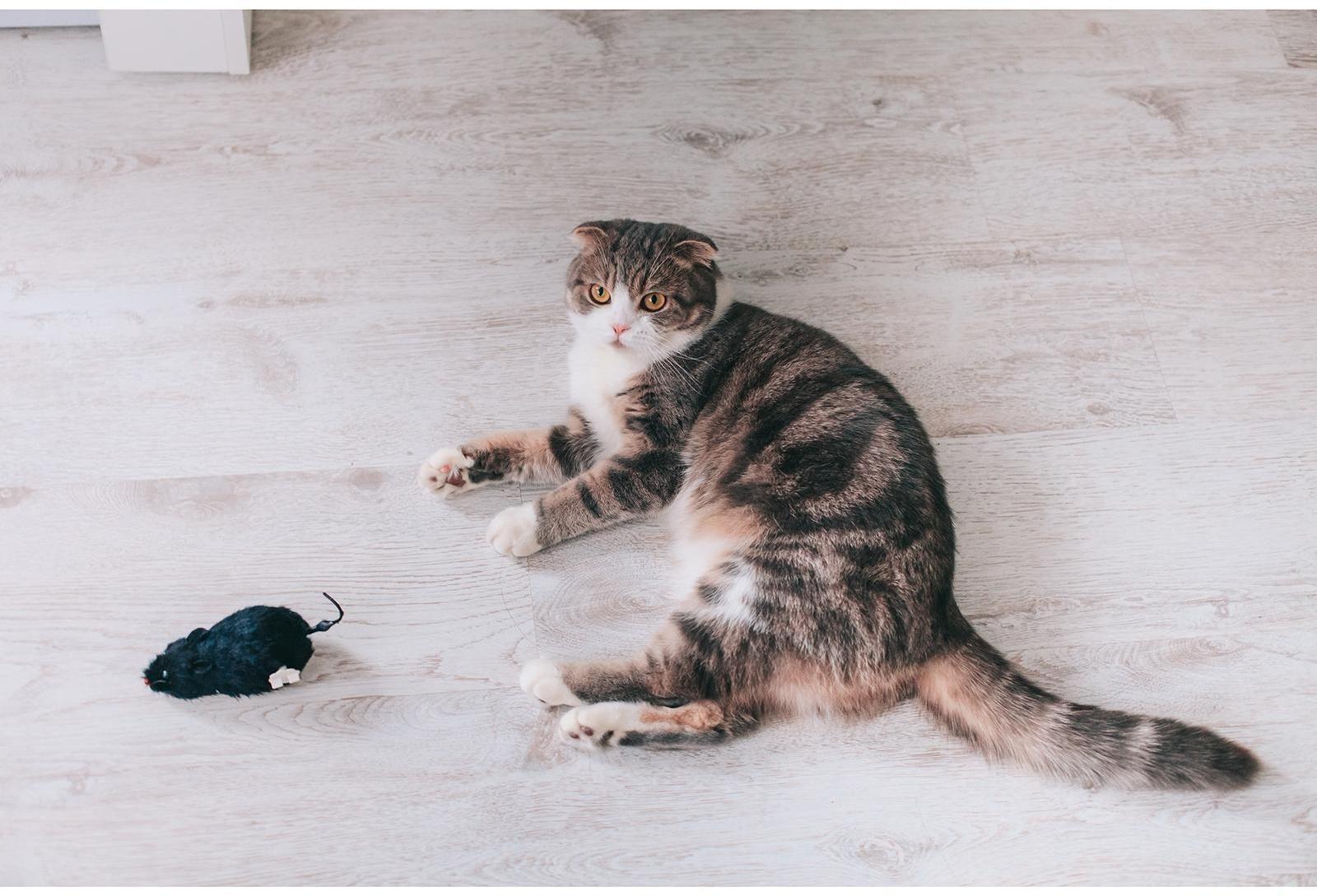 Мышь заводная меховая, 12 см, чёрная