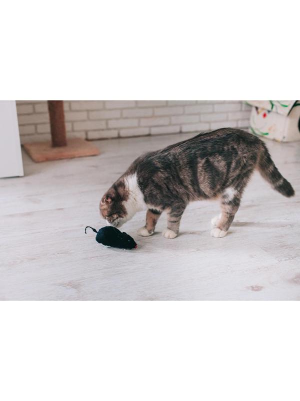 Мышь заводная меховая, 12 см, чёрная