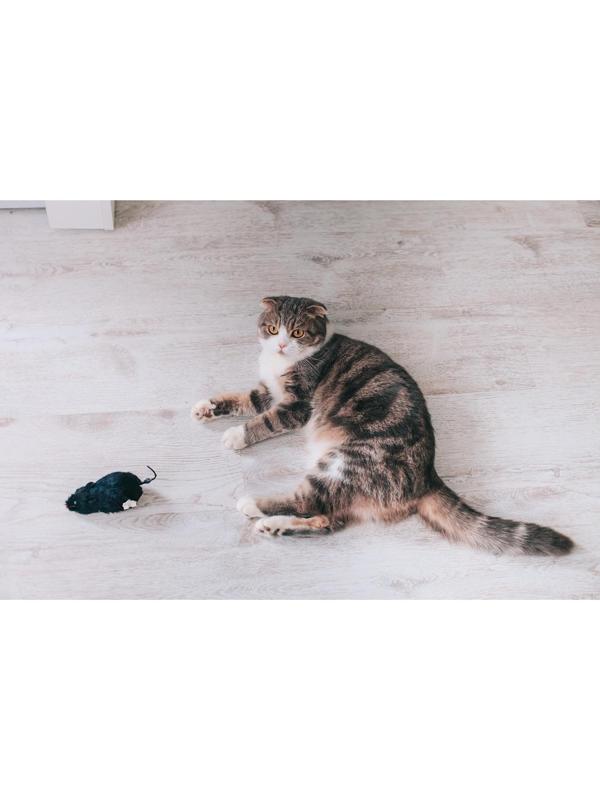 Мышь заводная меховая, 12 см, чёрная