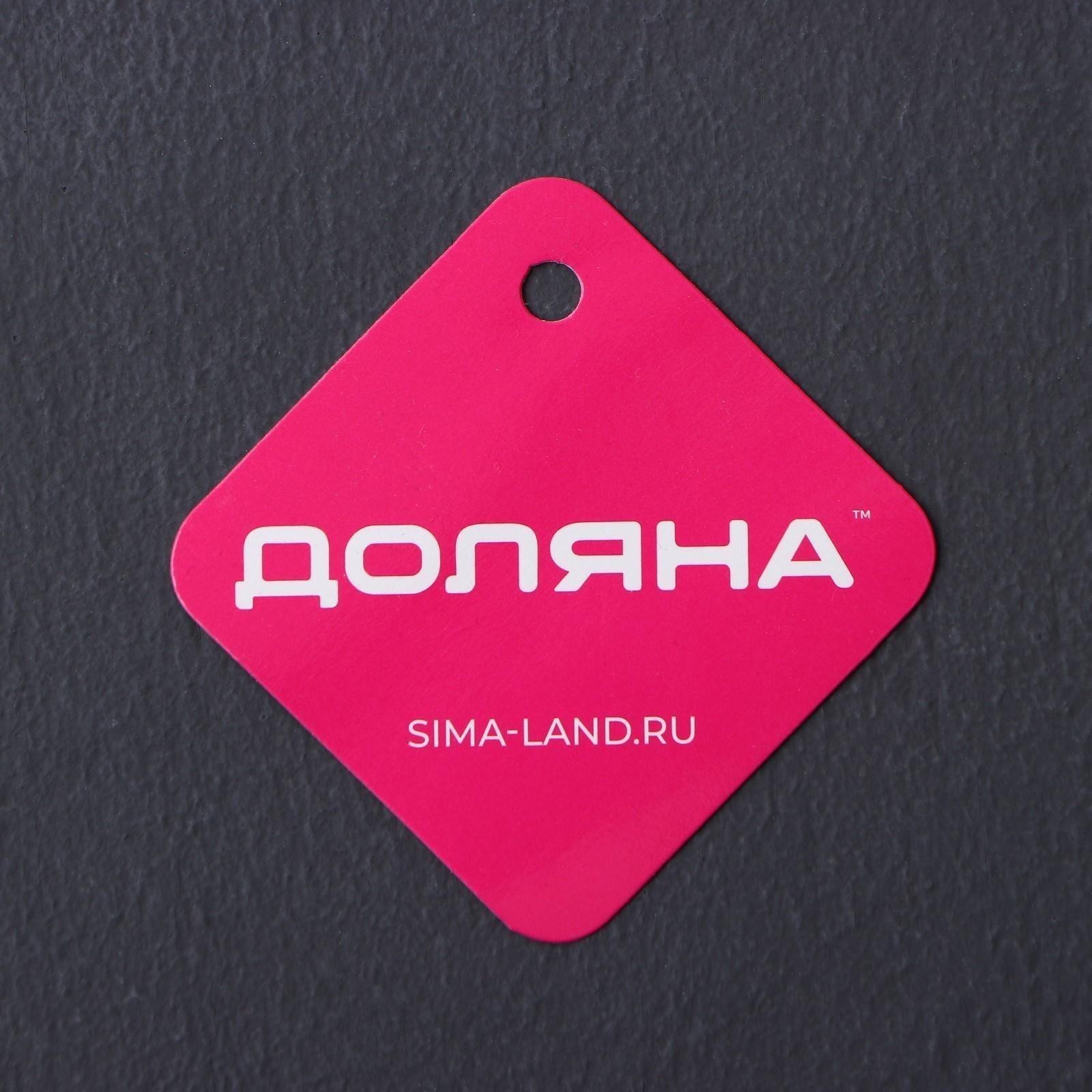 Ложка гарнирная из нержавеющей стали Доляна «Металлик», h=25 см, цвет серебряный