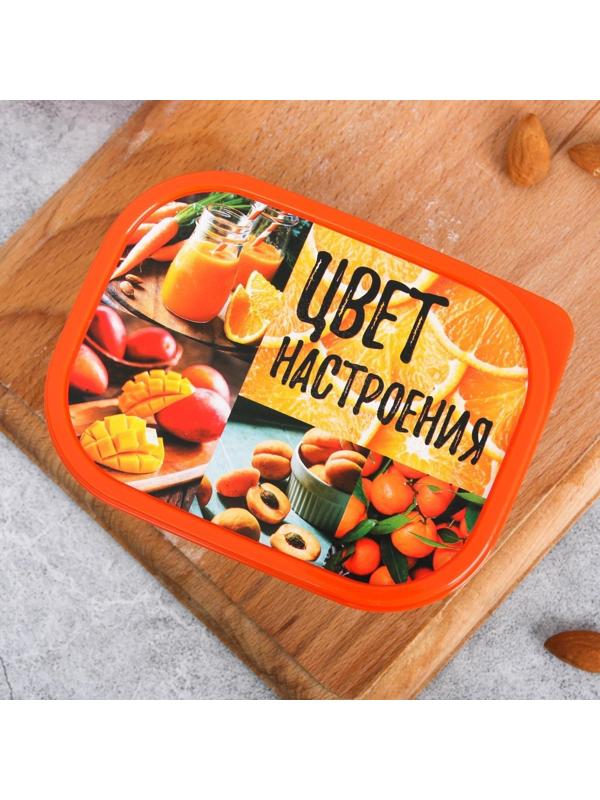 Ланч-бокс «Цвет настроения оранжевый», 0.5 л