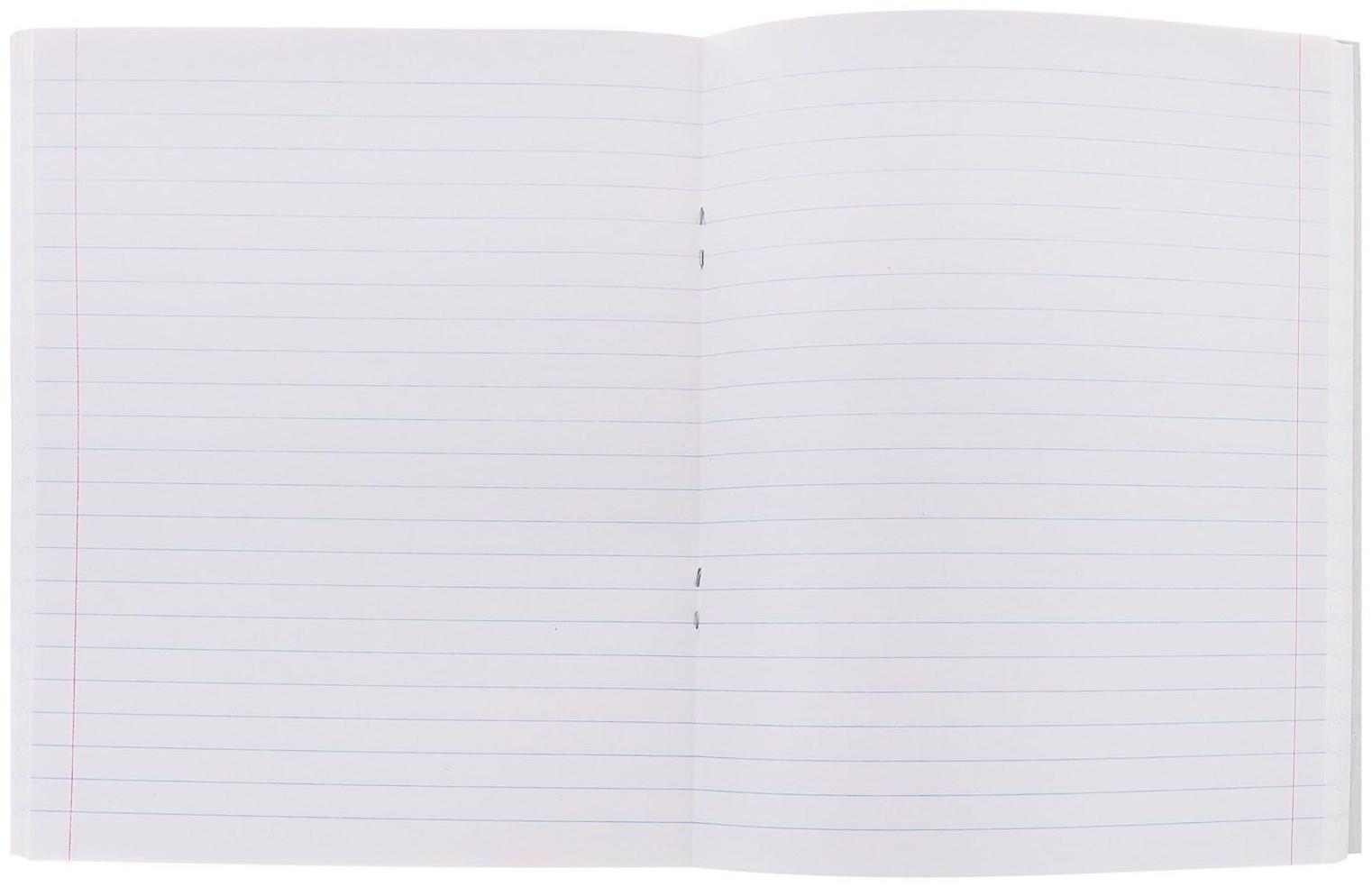 Тетрадь 96 листов в линейку Calligrata 