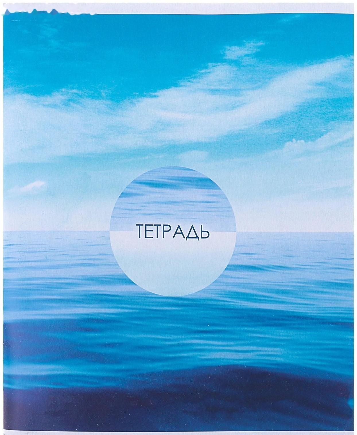 Тетрадь 96 листов в линейку Calligrata 