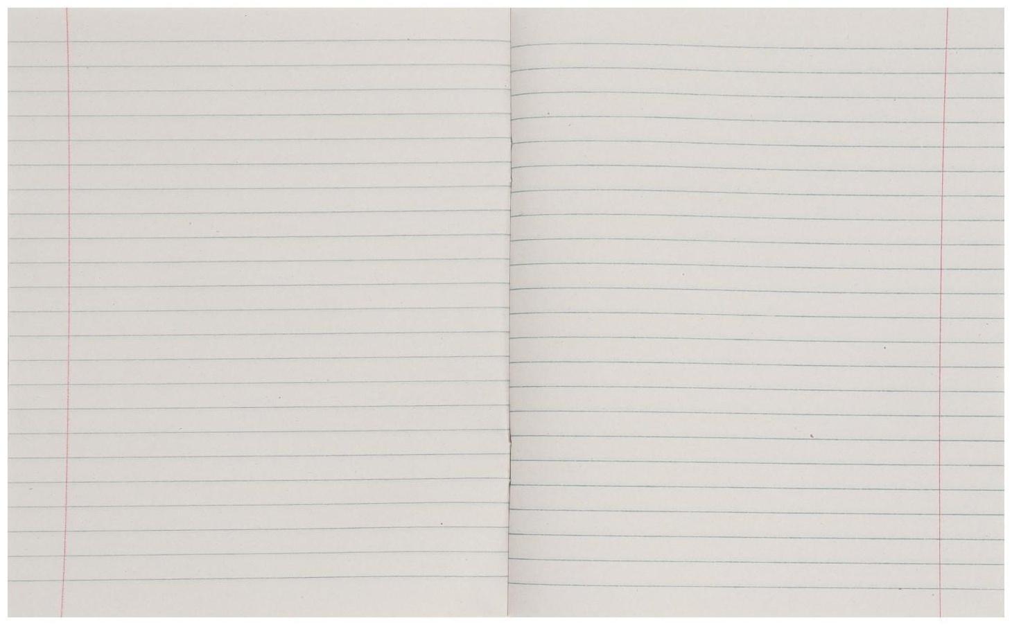 Тетрадь 96 листов в линейку Calligrata 