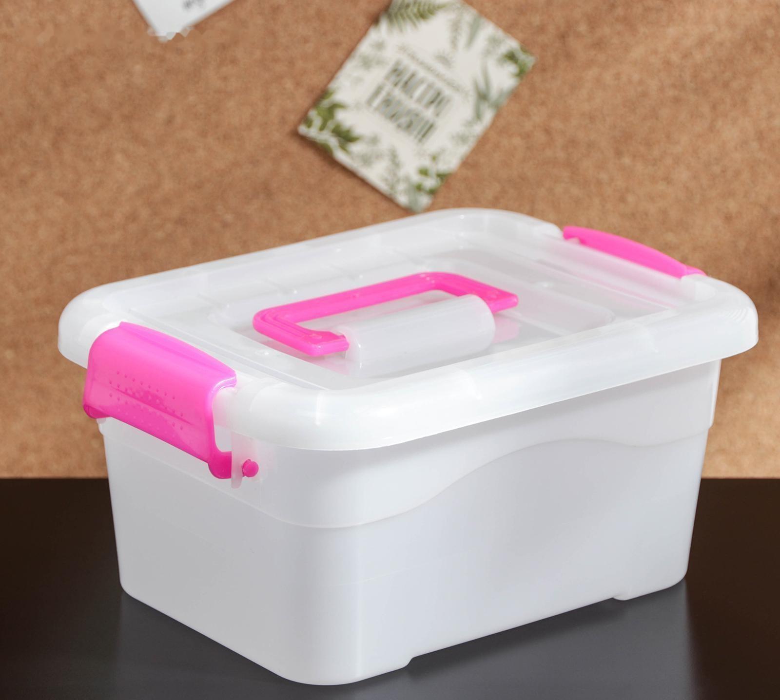 Контейнер пластиковый для хранения «Дипломат», 20×15×9,5 см, крышка с ручкой на защёлке, цвет МИКС