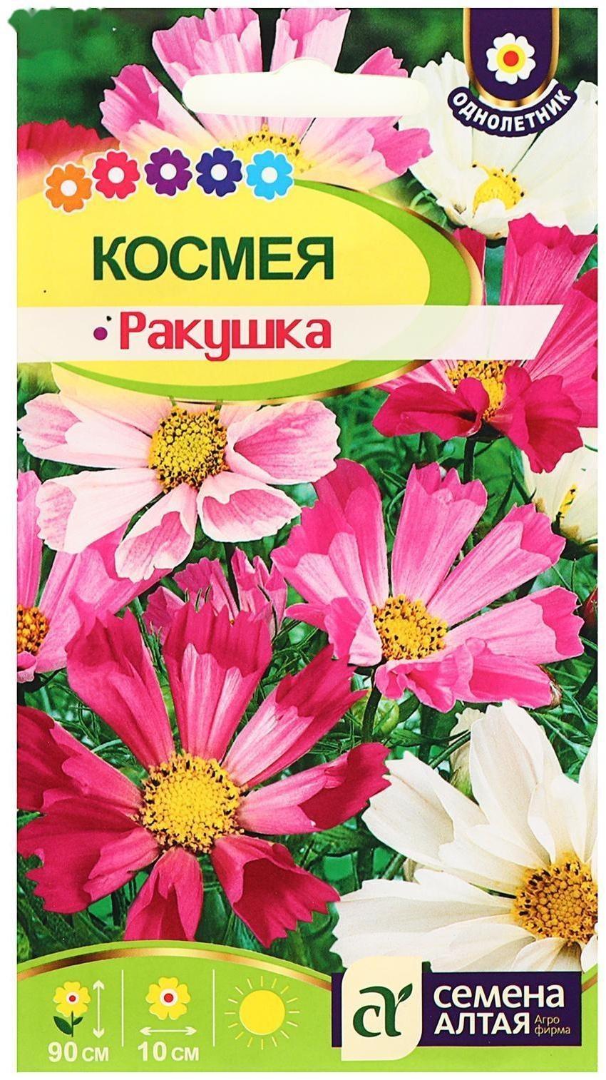 Семена цветов Космея 