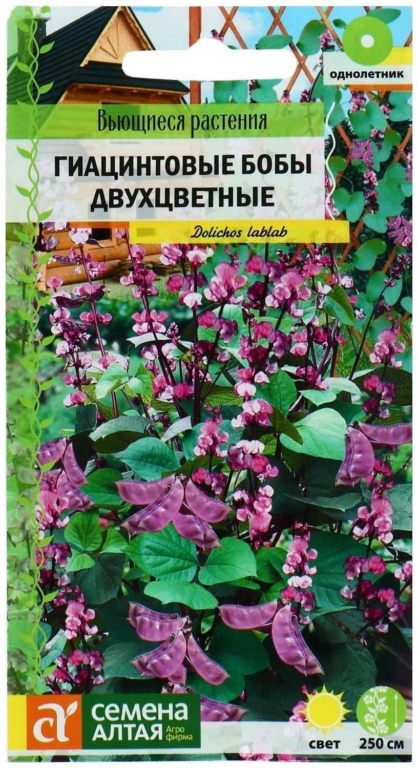 Семена цветов Гиацинтовые бобы 