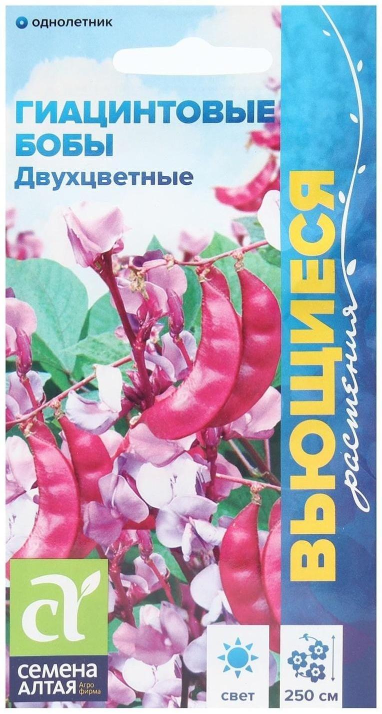 Семена цветов Гиацинтовые бобы 