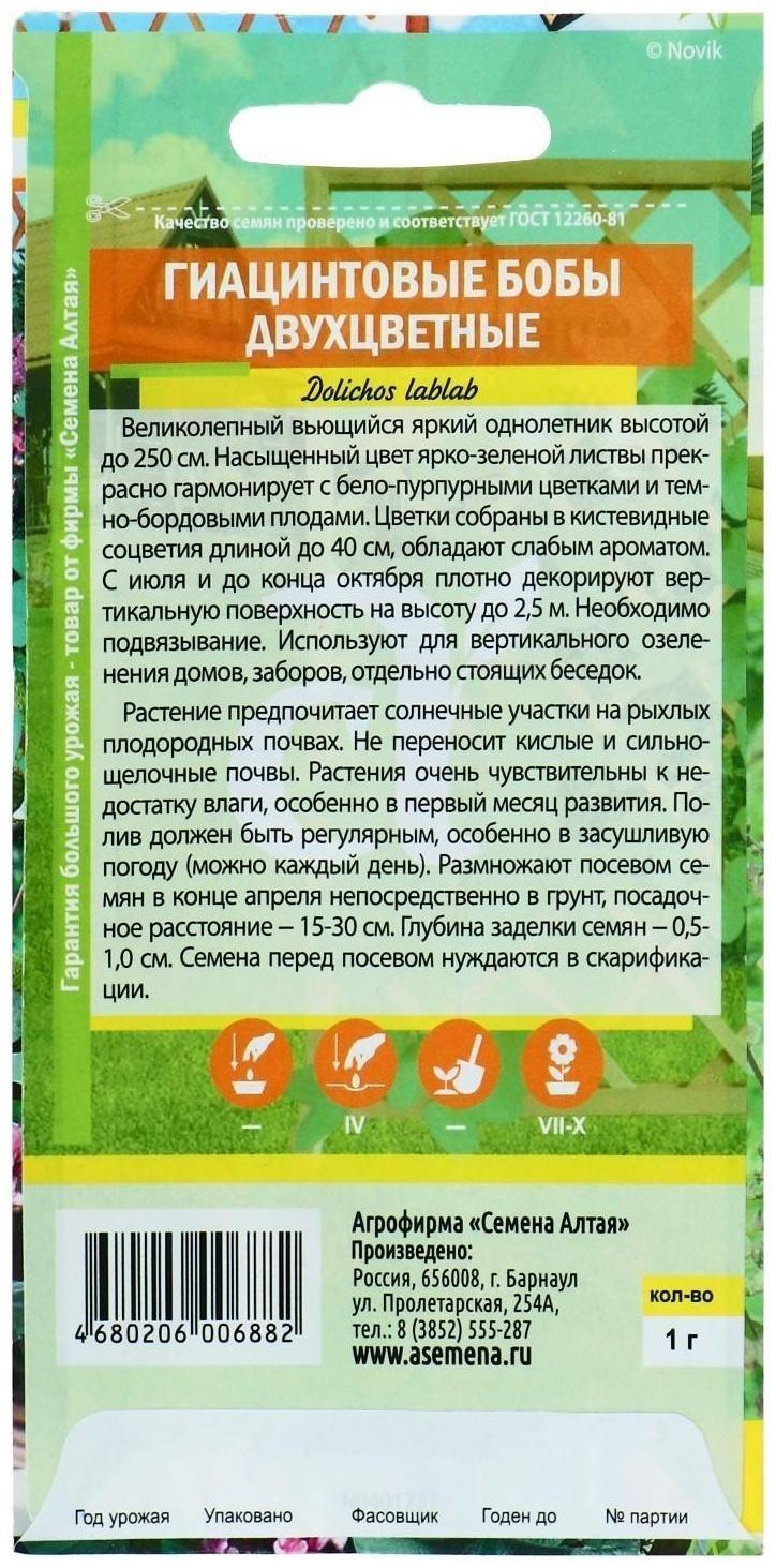 Семена цветов Гиацинтовые бобы 