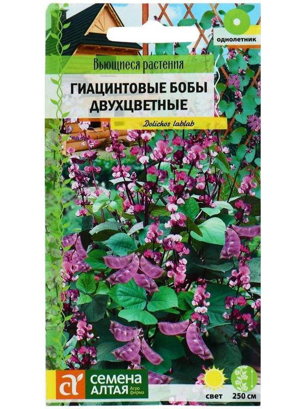 Семена цветов Гиацинтовые бобы 
