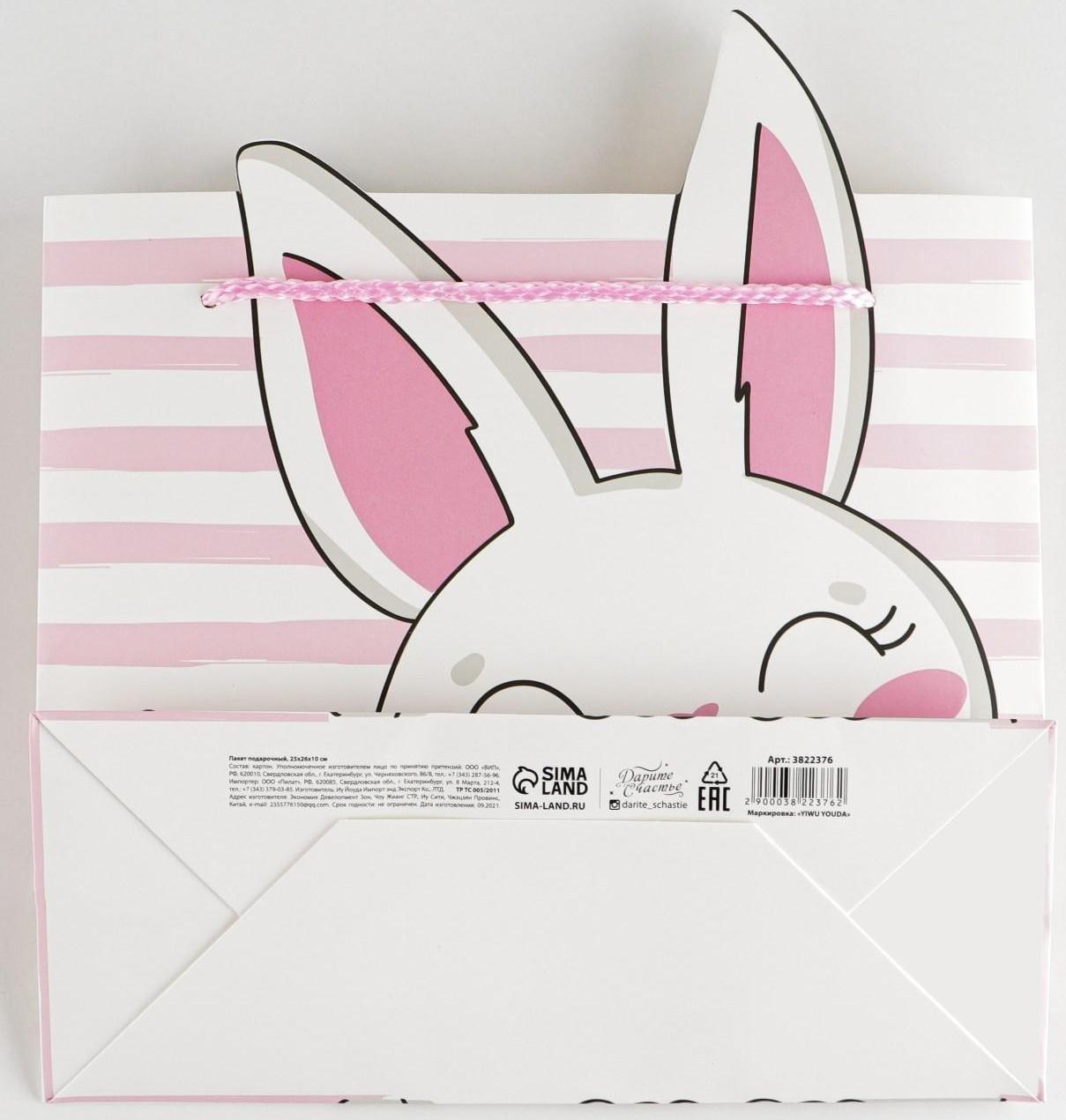 Пакет подарочный «Best day», 25 × 26 × 10 см