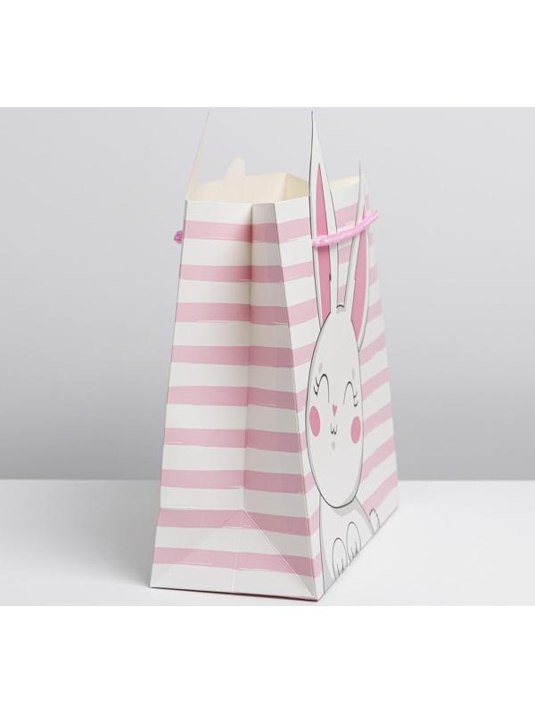 Пакет подарочный «Best day», 25 × 26 × 10 см