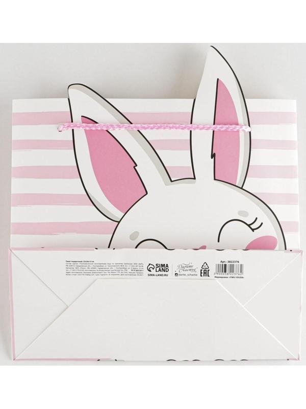 Пакет подарочный «Best day», 25 × 26 × 10 см