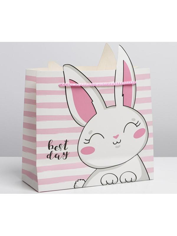 Пакет подарочный «Best day», 25 × 26 × 10 см