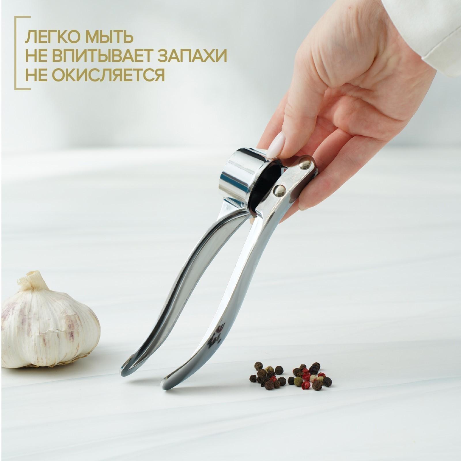 Пресс для чеснока Доляна «Эрнест», 15 см, цвет хромированный