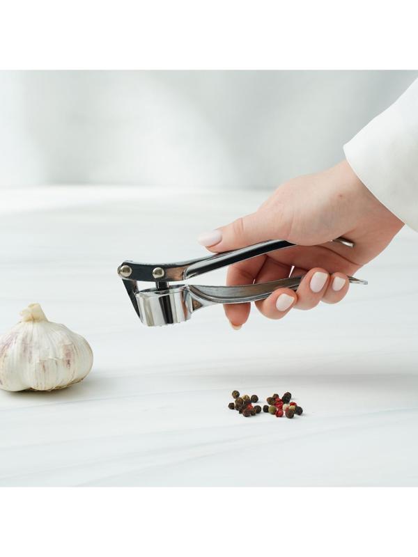 Пресс для чеснока Доляна «Эрнест», 15 см, цвет хромированный