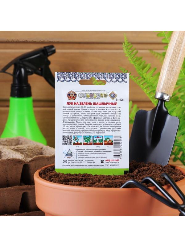 Семена Лук на зелень 