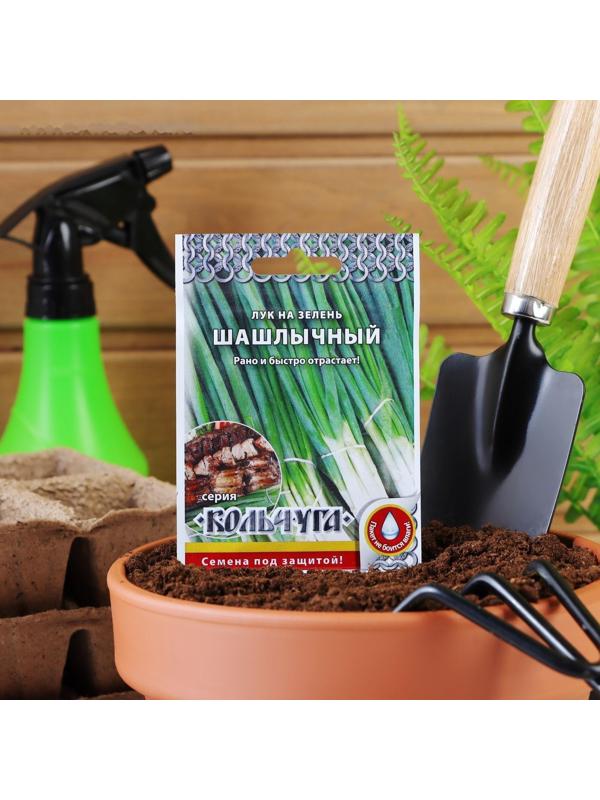Семена Лук на зелень 